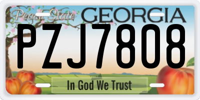 GA license plate PZJ7808