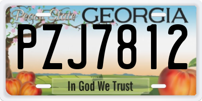GA license plate PZJ7812