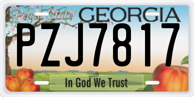 GA license plate PZJ7817