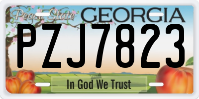 GA license plate PZJ7823
