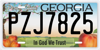 GA license plate PZJ7825