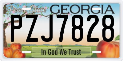GA license plate PZJ7828