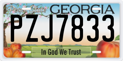 GA license plate PZJ7833