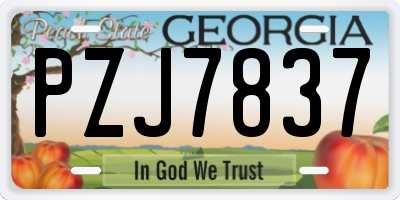 GA license plate PZJ7837