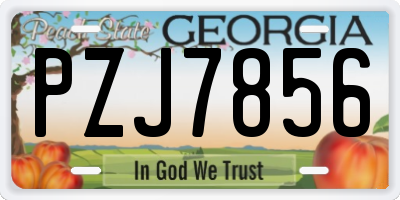 GA license plate PZJ7856
