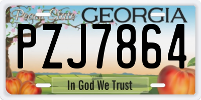 GA license plate PZJ7864