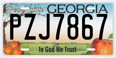 GA license plate PZJ7867