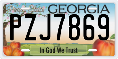 GA license plate PZJ7869