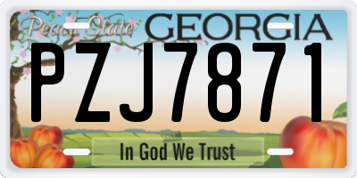 GA license plate PZJ7871