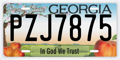 GA license plate PZJ7875