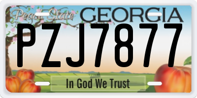 GA license plate PZJ7877
