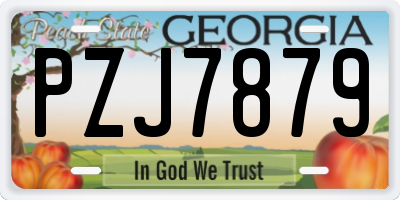GA license plate PZJ7879