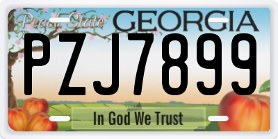 GA license plate PZJ7899