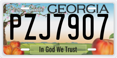 GA license plate PZJ7907