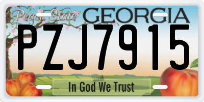 GA license plate PZJ7915