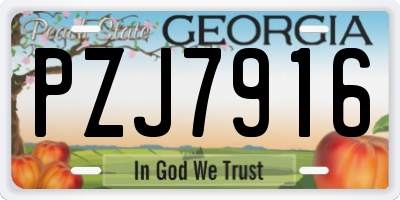 GA license plate PZJ7916