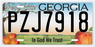GA license plate PZJ7918