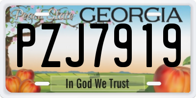 GA license plate PZJ7919