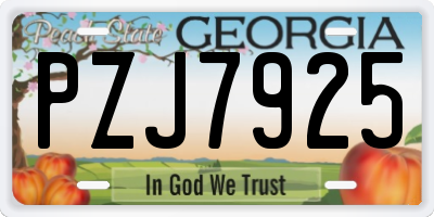 GA license plate PZJ7925