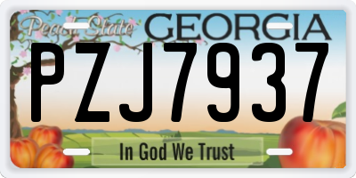GA license plate PZJ7937