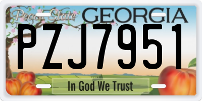 GA license plate PZJ7951