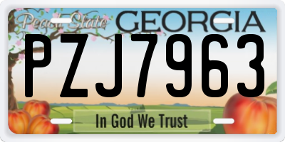 GA license plate PZJ7963