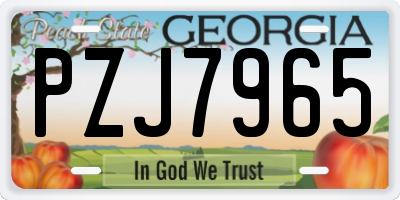 GA license plate PZJ7965