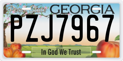 GA license plate PZJ7967