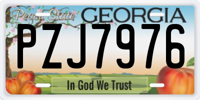 GA license plate PZJ7976