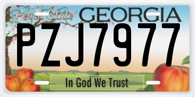 GA license plate PZJ7977