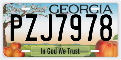GA license plate PZJ7978