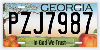GA license plate PZJ7987