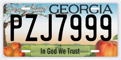 GA license plate PZJ7999