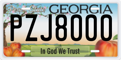 GA license plate PZJ8000