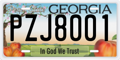 GA license plate PZJ8001