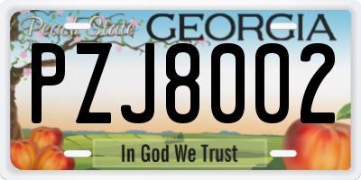 GA license plate PZJ8002