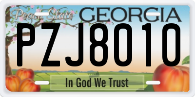 GA license plate PZJ8010
