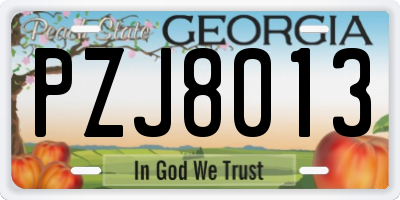 GA license plate PZJ8013