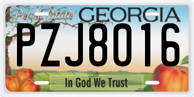 GA license plate PZJ8016