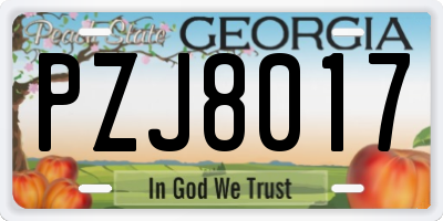 GA license plate PZJ8017