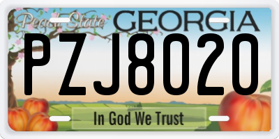 GA license plate PZJ8020