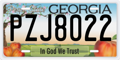 GA license plate PZJ8022