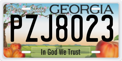 GA license plate PZJ8023