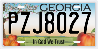 GA license plate PZJ8027