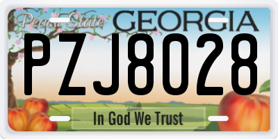 GA license plate PZJ8028