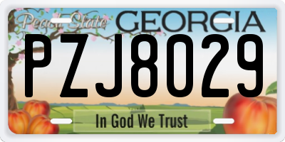 GA license plate PZJ8029