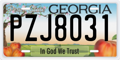 GA license plate PZJ8031