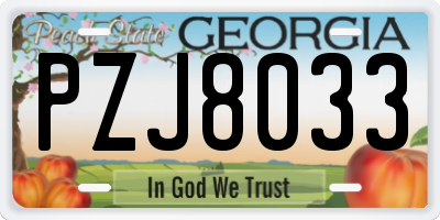 GA license plate PZJ8033