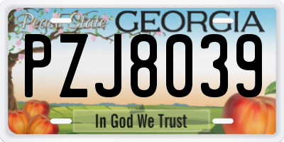 GA license plate PZJ8039