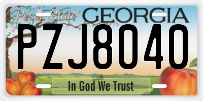 GA license plate PZJ8040